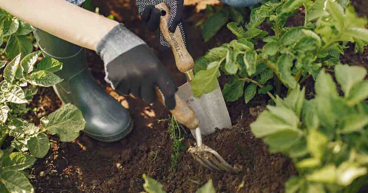 Garden Toolkit